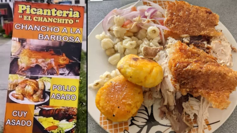 picanteria-el-chanchito-67a77799544ac picanteria-el-chanchito-67a77799544ac